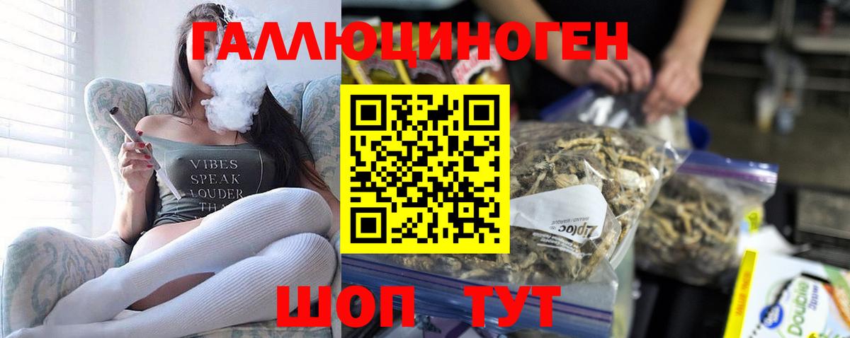 Мурманск  Псилоцибиновые грибы Magic Shrooms  Вход с VPN  Галлюциногенные грибы прущие грибы 